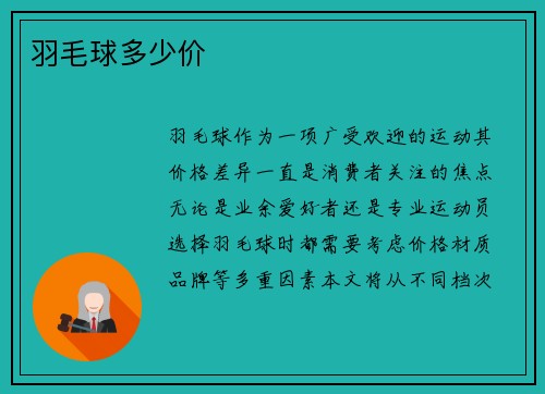 羽毛球多少价