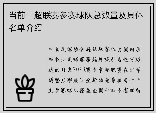 当前中超联赛参赛球队总数量及具体名单介绍